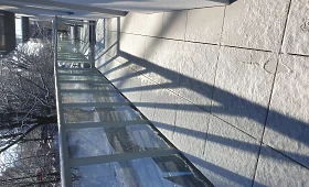 20210212-110356.jpg